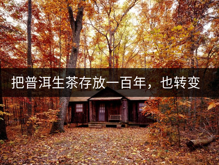 把普洱生茶存放一百年，也轉(zhuǎn)變不成熟茶