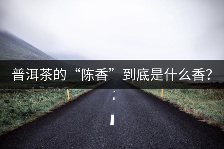 普洱茶的“陳香”到底是什么香？