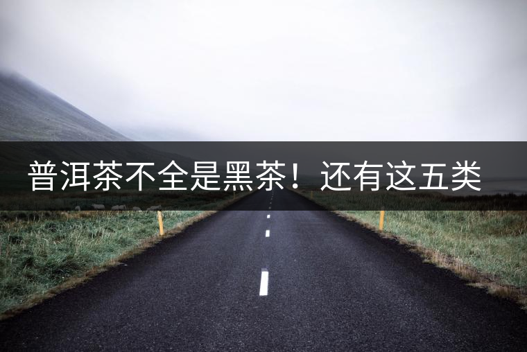 普洱茶不全是黑茶！還有這五類茶，現(xiàn)在知道還不算晚