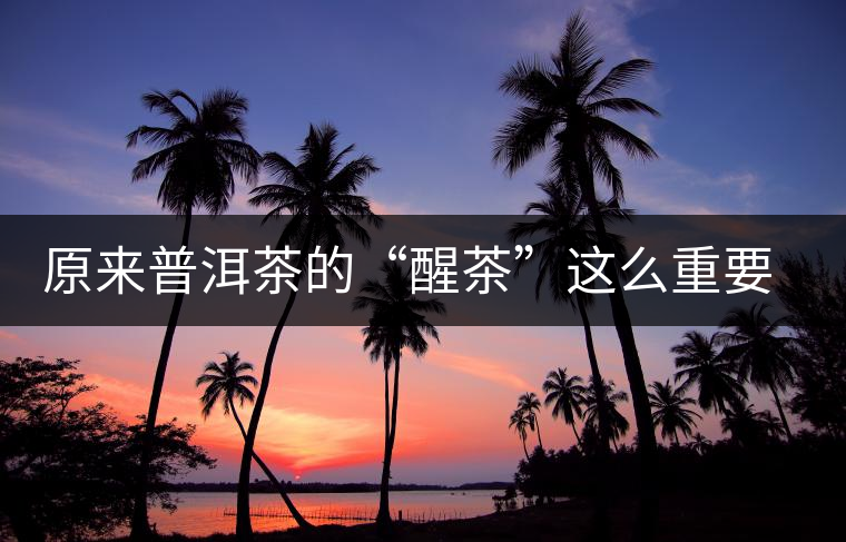 原來普洱茶的“醒茶”這么重要,這些秘籍分享給您 原來普洱茶的“醒茶”這么重要,這些秘籍分享給您