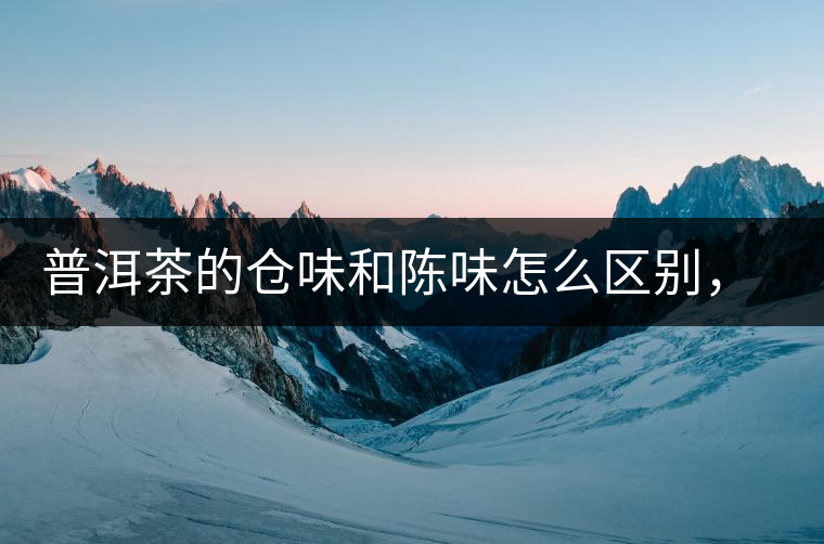 普洱茶的倉味和陳味怎么區(qū)別，如何避免？