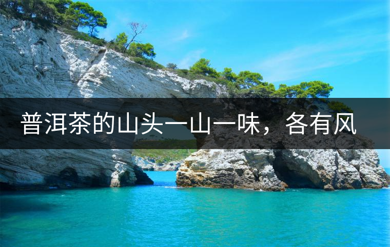 普洱茶的山頭一山一味，各有風(fēng)格