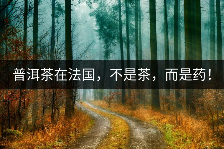 普洱茶在法國(guó)，不是茶，而是藥！