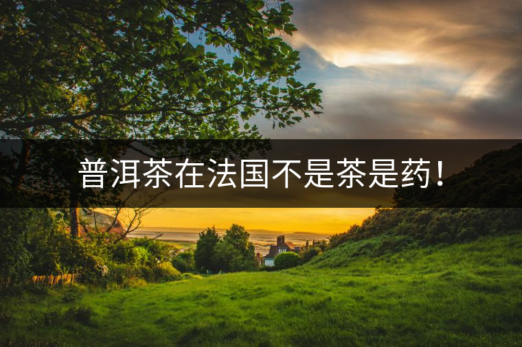 普洱茶在法國不是茶是藥！