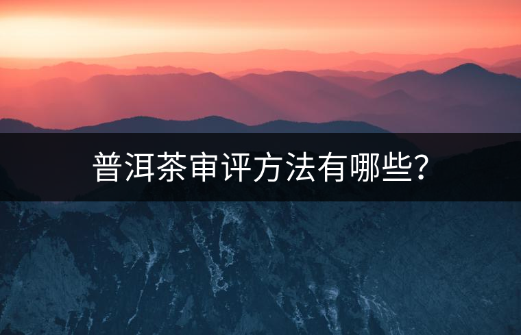 普洱茶審評方法有哪些？