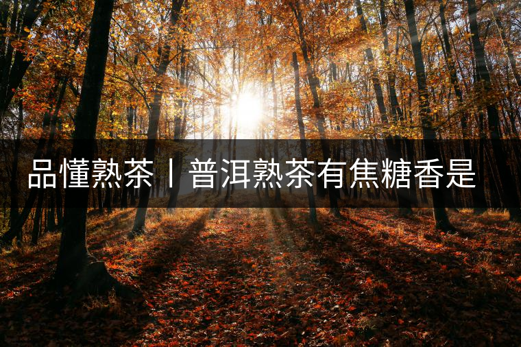 品懂熟茶丨普洱熟茶有焦糖香是好還是不好的表現(xiàn)？