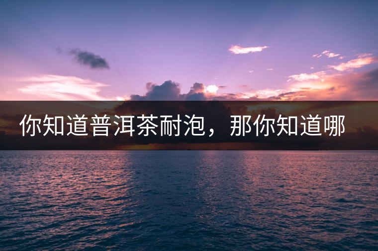 你知道普洱茶耐泡，那你知道哪一類普洱茶比較耐泡？