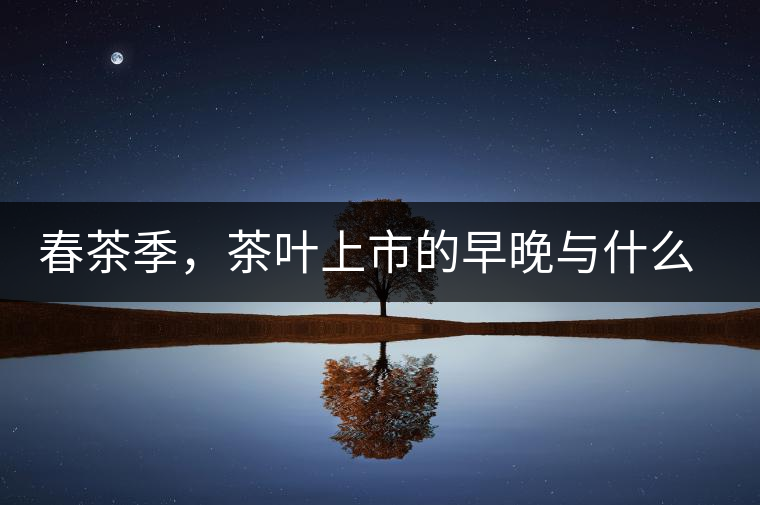 春茶季，茶葉上市的早晚與什么有關(guān)