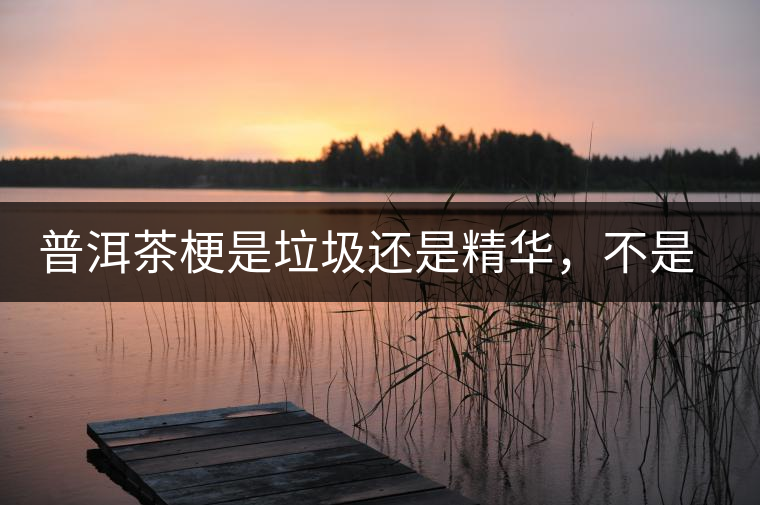 普洱茶梗是垃圾還是精華，不是一個人說的算