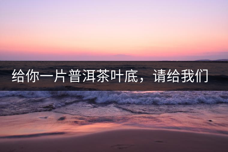 給你一片普洱茶葉底，請(qǐng)給我們聊聊它的生態(tài)和樹(shù)齡