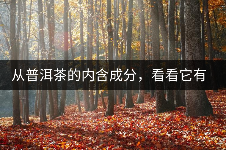 從普洱茶的內(nèi)含成分，看看它有什么功效？