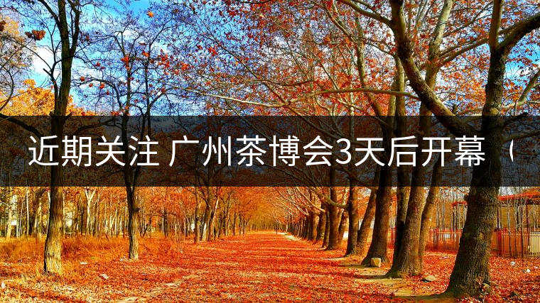 近期關(guān)注 廣州茶博會3天后開幕（11月21日）