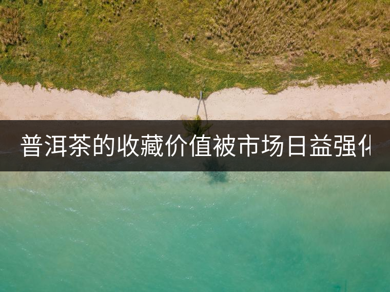 普洱茶的收藏價值被市場日益強化 藏家應(yīng)冷靜看待