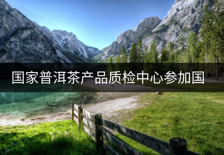 國家普洱茶產(chǎn)品質(zhì)檢中心參加國際考核顯檢測實力