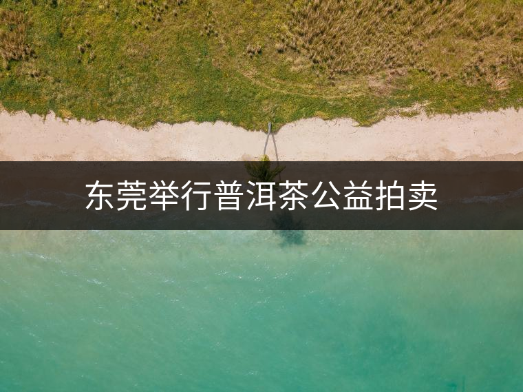 東莞舉行普洱茶公益拍賣(mài) 東莞舉行普洱茶公益拍賣(mài)