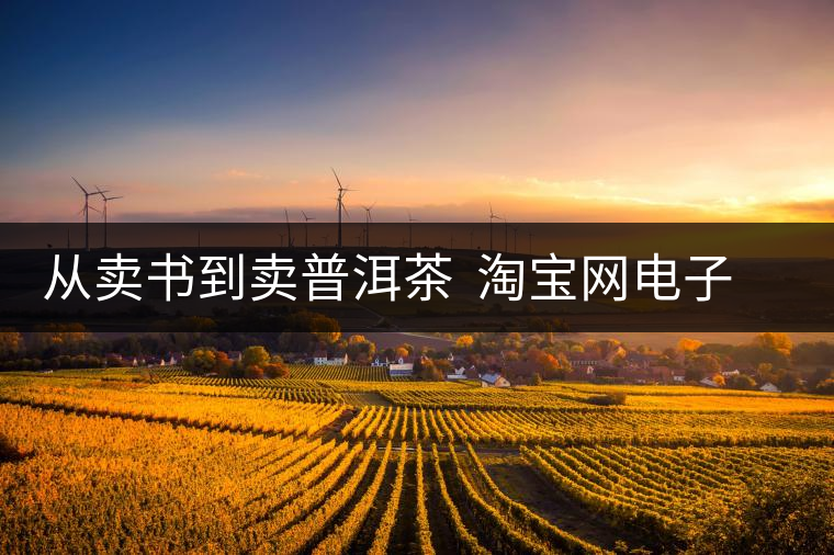 從賣書(shū)到賣普洱茶 淘寶網(wǎng)電子商務(wù)改變?nèi)松? alt=