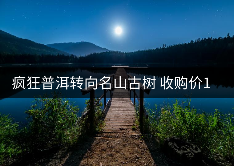 瘋狂普洱轉(zhuǎn)向名山古樹 收購(gòu)價(jià)1年漲兩三倍 瘋狂普洱轉(zhuǎn)向名山古樹 收購(gòu)價(jià)1年漲兩三倍