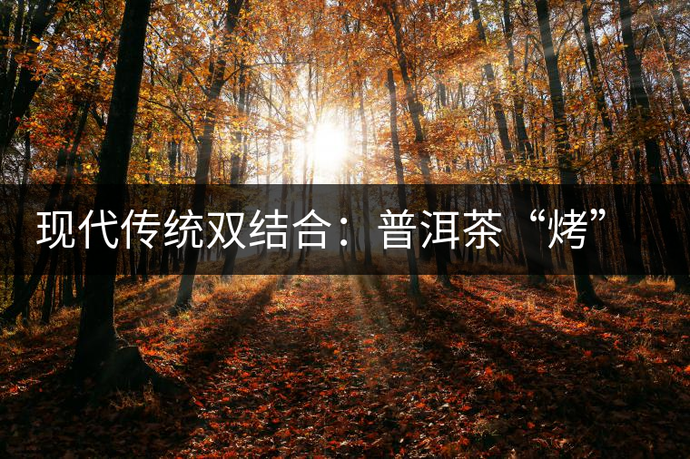 現(xiàn)代傳統(tǒng)雙結合：普洱茶“烤”上了太陽能