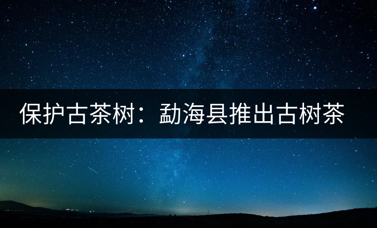 保護(hù)古茶樹：勐?？h推出古樹茶認(rèn)養(yǎng)活動(dòng)