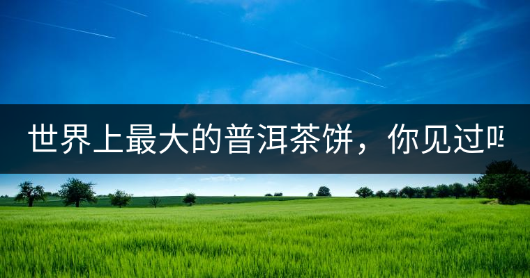 世界上最大的普洱茶餅，你見過嗎？