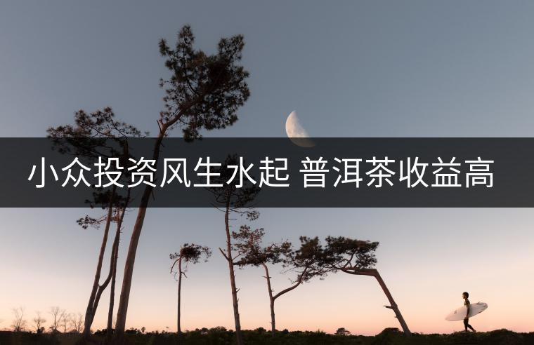 小眾投資風(fēng)生水起 普洱茶收益高但伴有風(fēng)險 小眾投資風(fēng)生水起 普洱茶收益高但伴有風(fēng)險