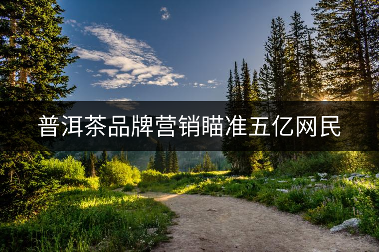 普洱茶品牌營(yíng)銷(xiāo)瞄準(zhǔn)五億網(wǎng)民 普洱茶品牌營(yíng)銷(xiāo)瞄準(zhǔn)五億網(wǎng)民