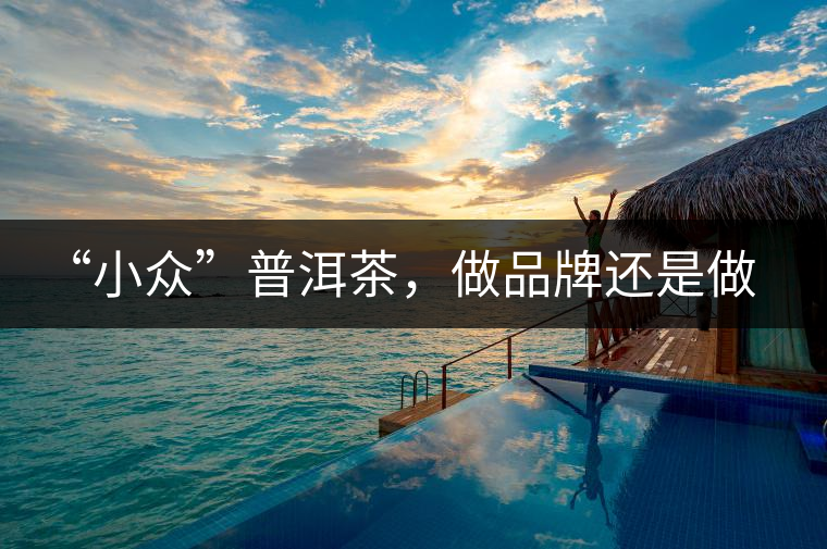 “小眾”普洱茶，做品牌還是做圈子？