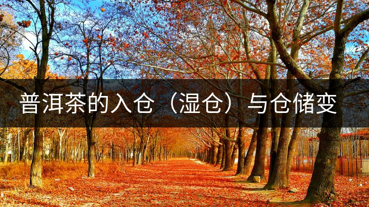普洱茶的入倉(濕倉)與倉儲(chǔ)變化 普洱茶的入倉(濕倉)與倉儲(chǔ)變化