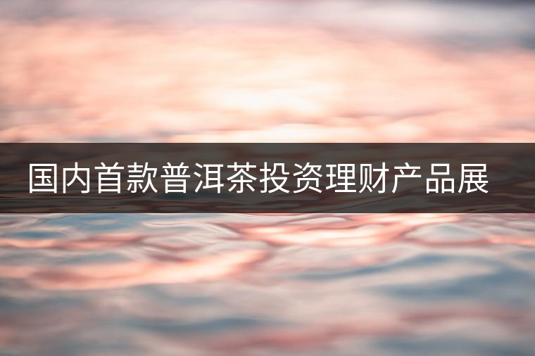國內(nèi)首款普洱茶投資理財(cái)產(chǎn)品展開路演推介