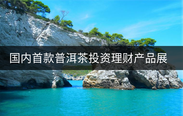 國(guó)內(nèi)首款普洱茶投資理財(cái)產(chǎn)品展開(kāi)行權(quán)前路演 國(guó)內(nèi)首款普洱茶投資理財(cái)產(chǎn)品展開(kāi)行權(quán)前路演
