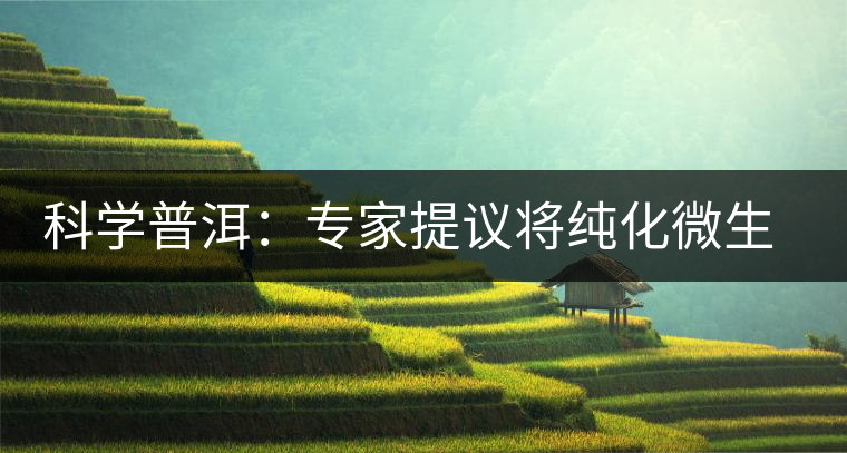 科學(xué)普洱:專家提議將純化微生物種應(yīng)用于普洱茶生產(chǎn) 科學(xué)普洱:專家提議將純化微生物種應(yīng)用于普洱茶生產(chǎn)