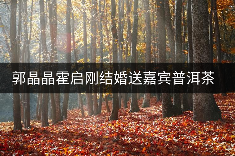 郭晶晶霍啟剛結婚送嘉賓普洱茶當禮物