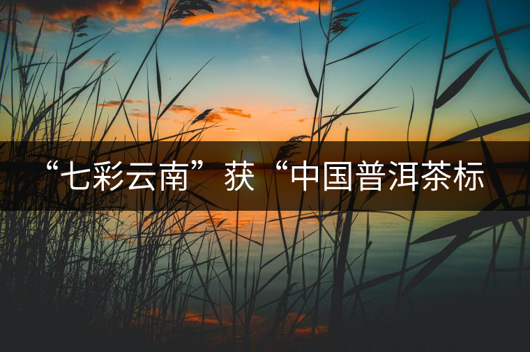 “七彩云南”獲“中國普洱茶標志性品牌” “七彩云南”獲“中國普洱茶標志性品牌”