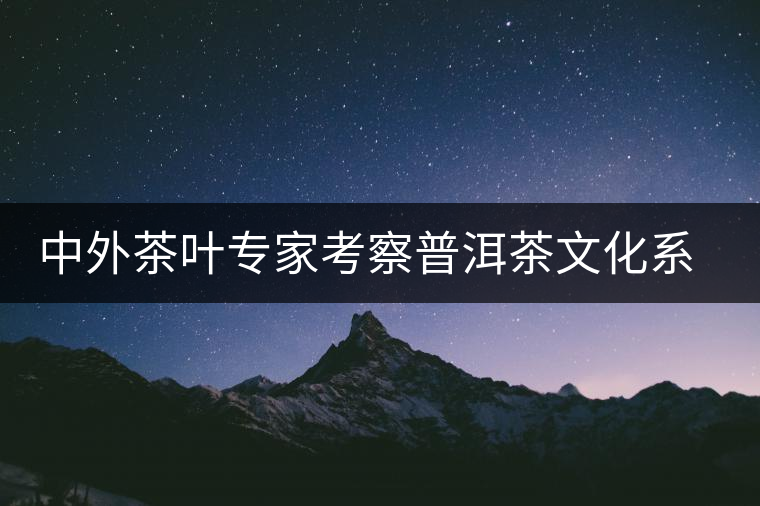 中外茶葉專(zhuān)家考察普洱茶文化系統(tǒng) 中外茶葉專(zhuān)家考察普洱茶文化系統(tǒng)