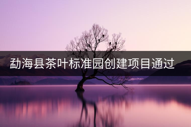 勐?？h茶葉標(biāo)準(zhǔn)園創(chuàng)建項(xiàng)目通過(guò)省級(jí)驗(yàn)收