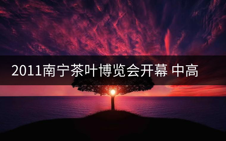 2011南寧茶葉博覽會(huì)開(kāi)幕 中高檔普洱茶受追捧