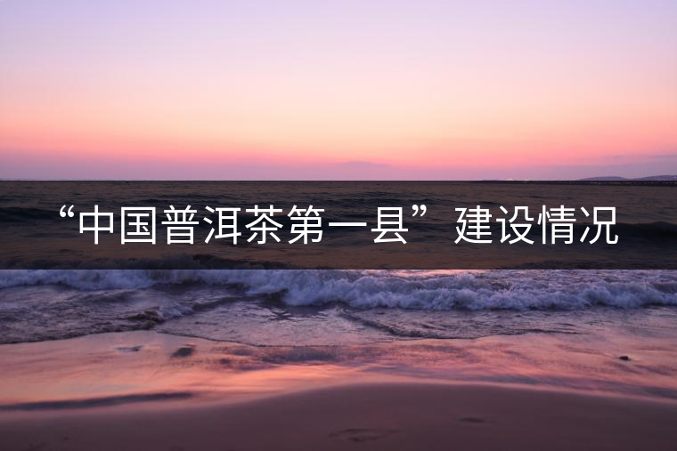 “中國普洱茶第一縣”建設情況匯報 “中國普洱茶第一縣”建設情況匯報