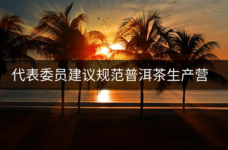 代表委員建議規(guī)范普洱茶生產(chǎn)營(yíng)銷環(huán)節(jié) 代表委員建議規(guī)范普洱茶生產(chǎn)營(yíng)銷環(huán)節(jié)
