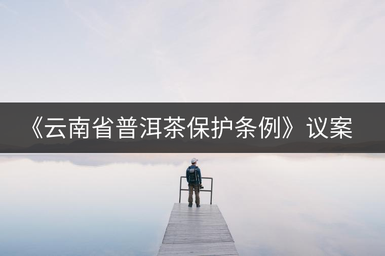 《云南省普洱茶保護條例》議案 《云南省普洱茶保護條例》議案