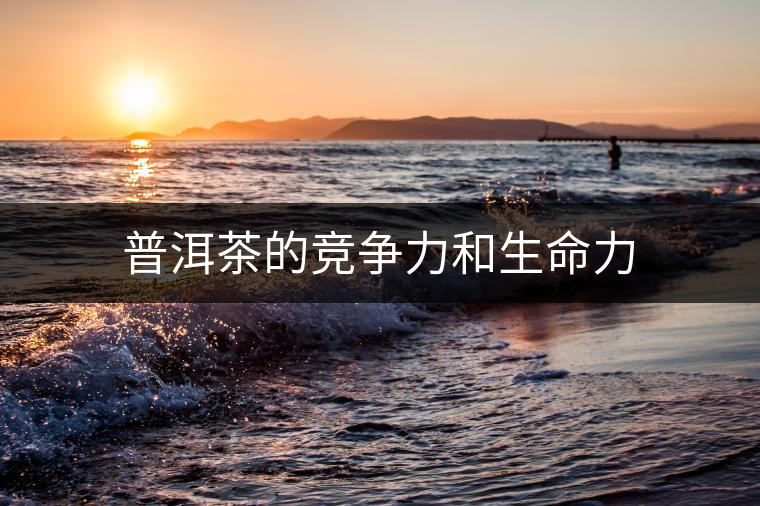 普洱茶的競爭力和生命力 普洱茶的競爭力和生命力