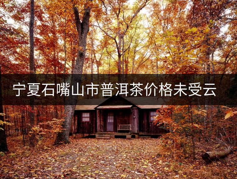 寧夏石嘴山市普洱茶價(jià)格未受云南大旱影響