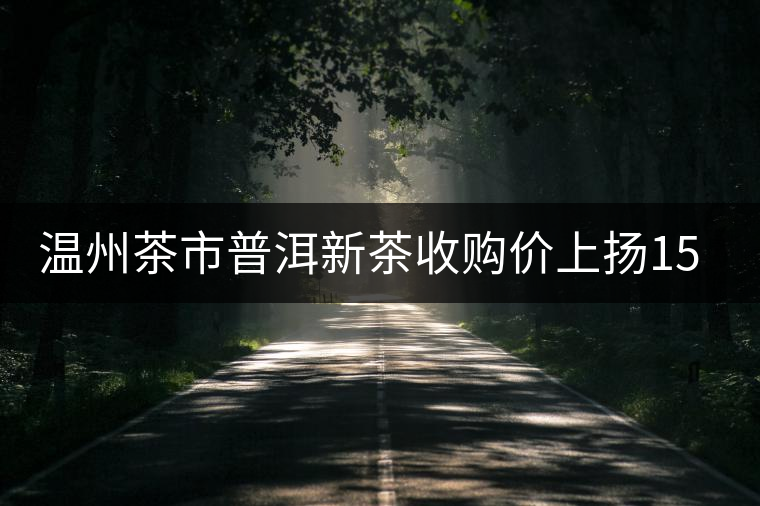 溫州茶市普洱新茶收購價上揚15% 溫州茶市普洱新茶收購價上揚15%
