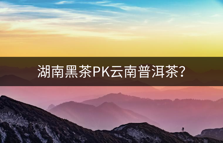湖南黑茶PK云南普洱茶？