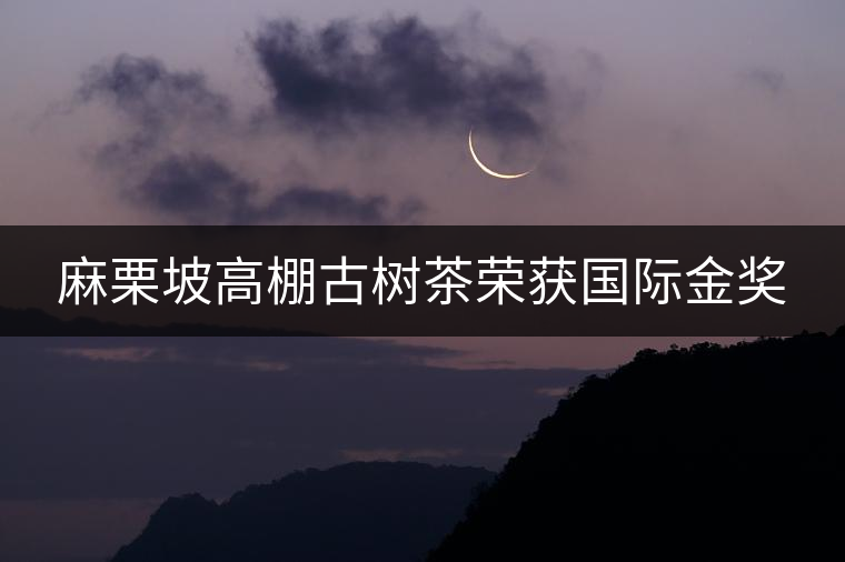 麻栗坡高棚古樹(shù)茶榮獲國(guó)際金獎(jiǎng) 麻栗坡高棚古樹(shù)茶榮獲國(guó)際金獎(jiǎng)