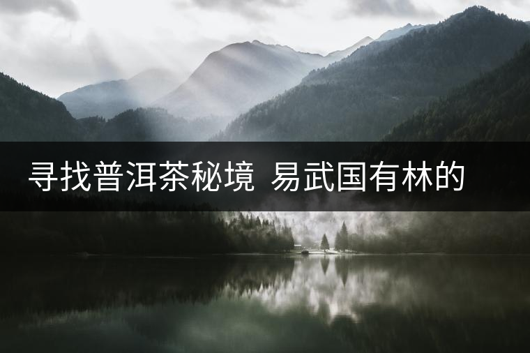 尋找普洱茶秘境 易武國(guó)有林的追逐戰(zhàn) 尋找普洱茶秘境 易武國(guó)有林的追逐戰(zhàn)