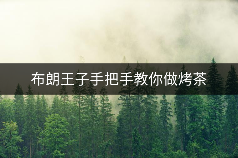 布朗王子手把手教你做烤茶 布朗王子手把手教你做烤茶
