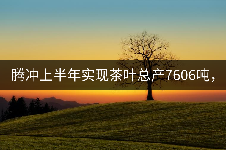 騰沖上半年實(shí)現(xiàn)茶葉總產(chǎn)7606噸，總產(chǎn)值5.58億元
