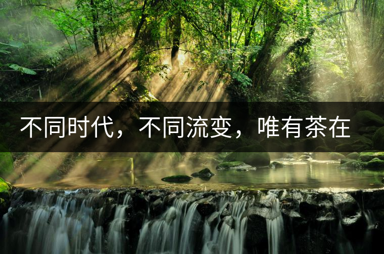 不同時(shí)代，不同流變，唯有茶在傳承