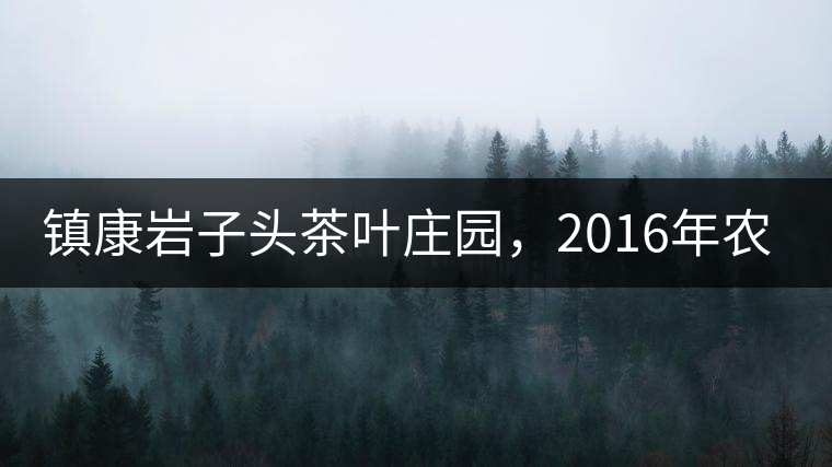 鎮(zhèn)康巖子頭茶葉莊園，2016年農(nóng)業(yè)產(chǎn)值達6000余萬元