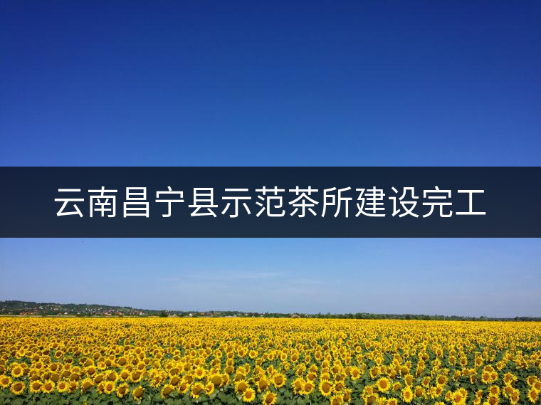 云南昌寧縣示范茶所建設(shè)完工